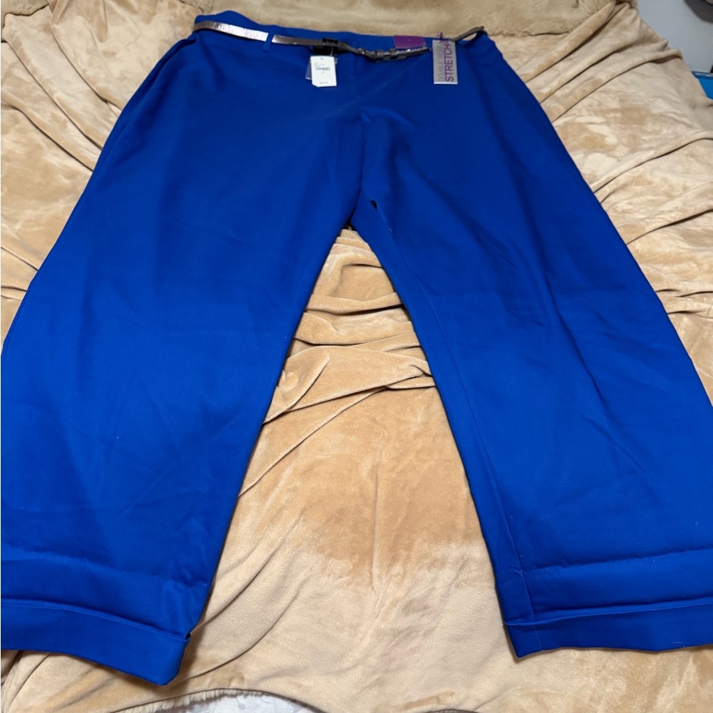 Lane Bryant Ankle Royal Blue Stretch Dress Pants 20 NWY